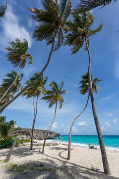 Bottom Bay, St. Philip, Barbados, West Indies, Caribbean