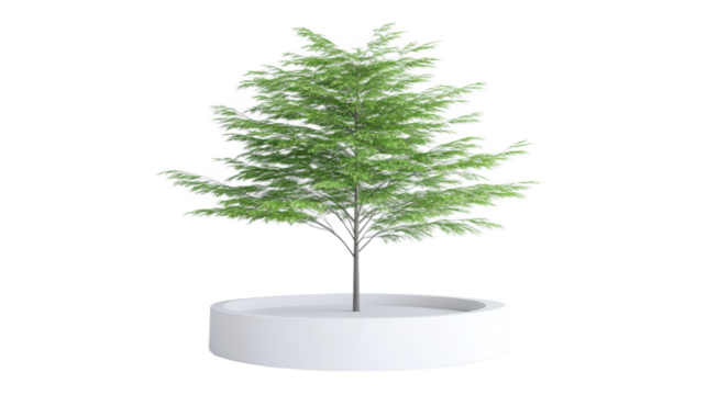 Tree featuring vibrant green foliage planted inside a modern circular white planter pot, perfect for interior decor, PNG, isolated on transparent background.