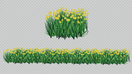 Vector set with a bunch and seamless border of wild grass with bright yellow flowers. Ideal for spring and summer nature-inspired design projects.