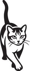 Walking black and white cat vector illustration, Stylized feline on white background