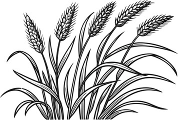 Vintage Engraved Grass and Cattail Illustration
