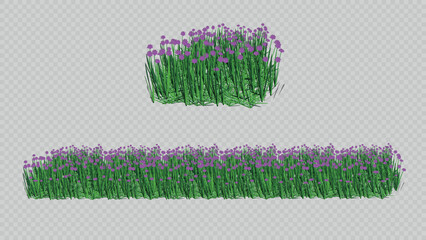 A botanical illustration featuring a bunch and seamless border of wild grass with vibrant purple flowers. Perfect for nature-themed designs and decorative borders.