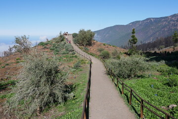 Wanderweg in den Bergen von Teneriffa