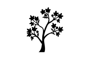 Blooming Koa Tree Silhouette nature