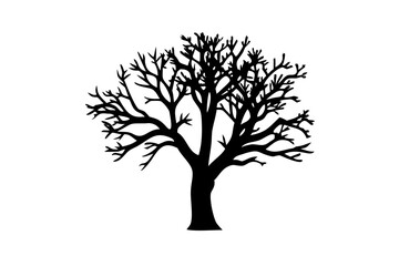 Blue Banyan Tree Silhouette nature