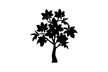 Sapodilla Tree Silhouette with Blooming Flowers white background