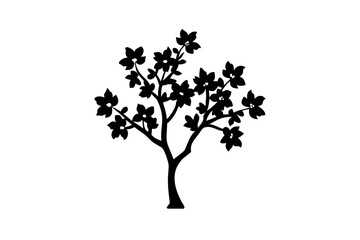 Obraz premium Silhouette of a blooming quince tree on a white background