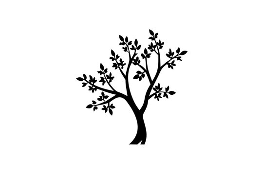 Silhouette of a blooming locust tree on a white background