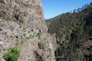 Wanderweg an Felswand und Kiefern Berglandschaft Teneriffa