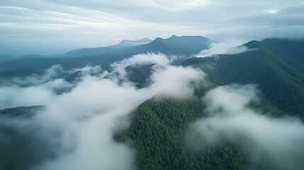 Fototapeta premium An aerial view of a misty, forested mountain range with clouds drifting between the peaks.