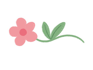 Hand-drawn Wildflower