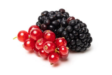 Organic ripe tasty organic berries red currant and blackberry isolated on white studio background