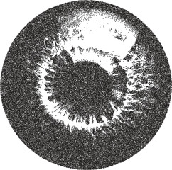Eye vintage y2k stipple art, vision halftone stipple brutalist retro vector png with transparent background, iris 2000s aesthetic photocopy effect tattoo © HoneyPunch