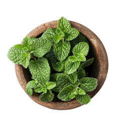 Fresh mint leaves in a rustic bowl