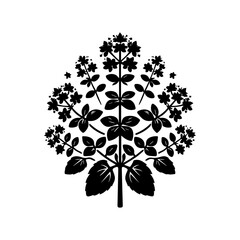 Black Silhouette of a Blooming Plant.