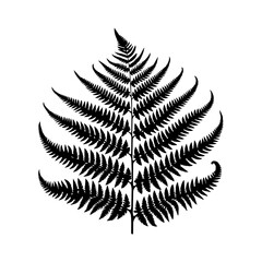 Black Silhouette of a Fern Leaf.
