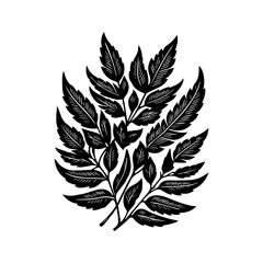Fototapeta premium Black Silhouette of Fern Leaves on White Background.