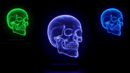 Three colorful glowing skull holograms with futuristic wireframe design for Halloween, medicine, technology footage. - Powered by Adobe