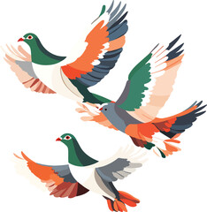 vector illustration of birds