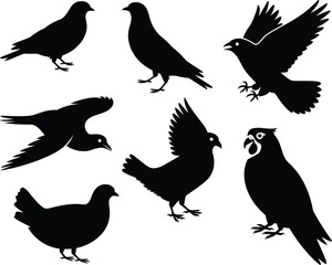 Obraz premium Collection of diverse bird silhouettes in various poses and species