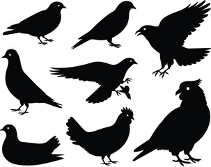 Obraz premium Collection of black bird silhouettes in various poses and species
