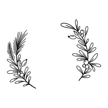 Merry Christmas border with fir branches, twigs, holly leaves and berries. Holiday circle wreath vector illustration. Nature design greeting card template. Winter xmas decoration.