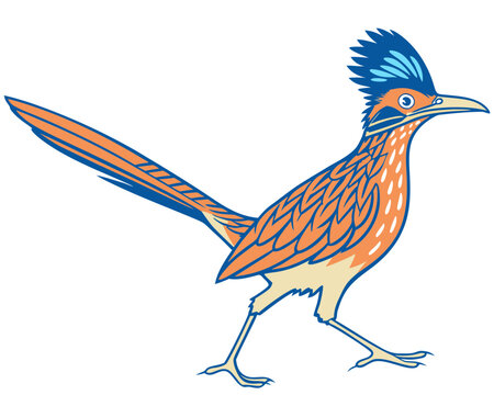 roadrunner vector transparent background