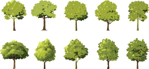 Watercolor illustration of stylized green trees with varying shapes and sizes arranged in three rows on a white background

