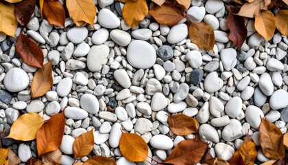 Autumn leaves  pebbles background.