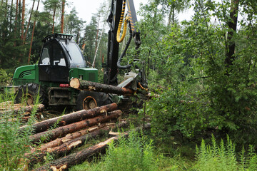 Heavy machinery operates in a forest, processing logs during a green forestry operation