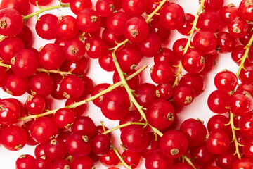 Organic ripe tasty organic berries red currant isolated on white studio background
