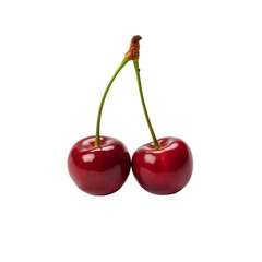 Cherry branch with two red cherries isolated without background  