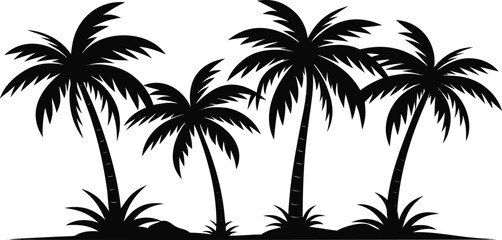 Fototapeta premium Group of palm trees silhouette isolated on transparent background