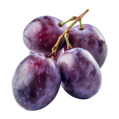 Obraz premium Close-up of plump, dark purple plums on a branch
