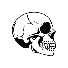 Skull and crossbones human skull skeleton vector illustration symbol tattoo pirate danger horror icon