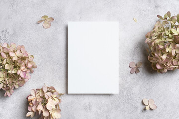 Blank white invitation card mock up surrounded by dried hydrangea flowers on a textured gray surface, creating a serene and elegant atmosphere for design purposes
