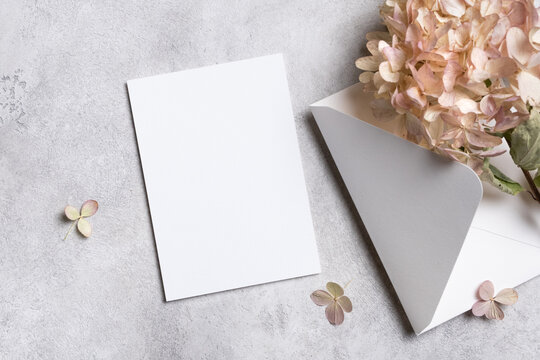 Blank greeting card mock up with white envelope and dried hydrangea flowers on textured gray background, perfect for personalized messages and creative designs