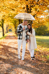 Rainy season. Young beautiful couple in love walking under an umbrella in an autumn park. Yellow leaves of trees.