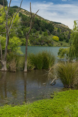 ニュージーランド　ホークスベイにあるトゥティラ湖の湖畔の風景