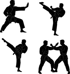 Marshalart taikuandu pose in black and white silhouette asset with white background 