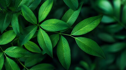 Close Up of Green Leaves with Speckled Texture