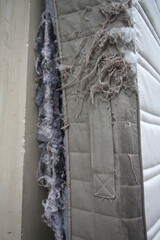 Matelas abimé par des griffes de chat