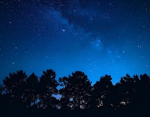 Minimalist silhouette of an Indian forest at night. Dark trees stand against a vibrant, deep blue sky filled with bright, starry constellations