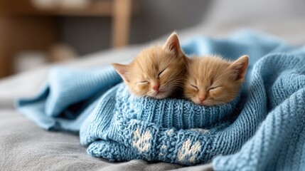 Two adorable ginger kittens cuddle together on a blue blanket in a cozy home environment during a peaceful nap