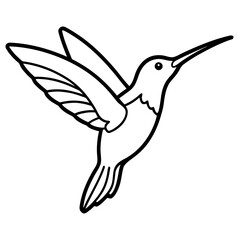 Minimalist Hummingbird Line Art Illustration