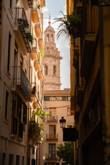 Bell tower and Valencia Cathedral in Valencia, Spain