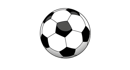 Fototapeta premium Ball used in the sport of soccer