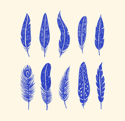 Bird feathers drawn with color crayon pencils. Pastel sketch of blue peacock, chicken, bird plumes. Set of boho feathers, quills with pattern and crayon or chalk texture, vector illustration