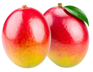 red and yellow apples on white background