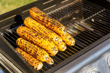 Grilled Corn on the Cob. Summer Street Food Delight